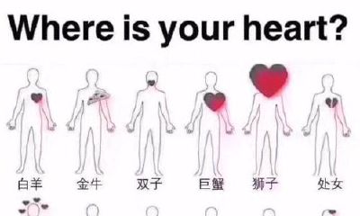 12星座真心位置图解(各个星座的心在哪里)