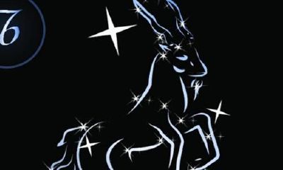 摩羯座逻辑怎么样(摩羯座的思维)