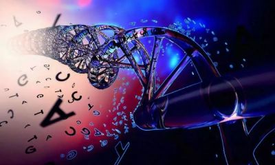 骨瘦如柴的女人面相(脸颊无肉的女人面相)