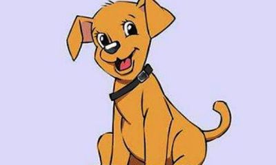 属狗人适合的颜色最旺(1994年属狗人永远最旺的颜色)