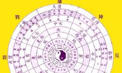 八字天干地支都有文星(天干地支五行图)