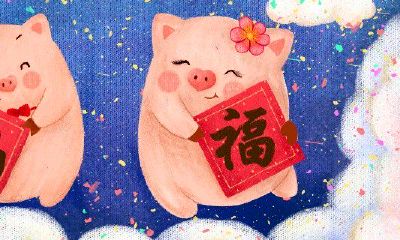 属猪男对待感情怎么样(属猪男的婚姻状况如何)