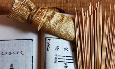 占卜为什么要用蓍草(用蓍草占吉凶叫什么)