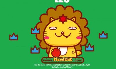 狮子座的冷静(狮子座男生说要冷静一段时间)