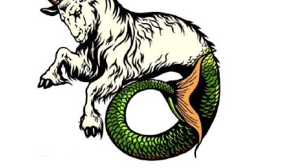 十二星座里的摩羯座是什么动物(摩羯座女生配什么星座)