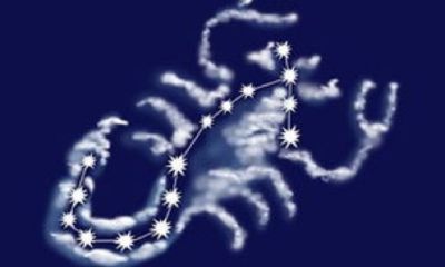 11月6日的天蝎座性格(2月什么星座)