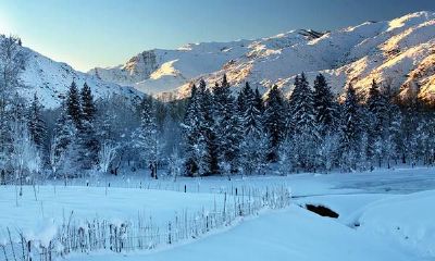 女人梦见下小雪什么预兆(女人梦见下雪是胎梦吗)