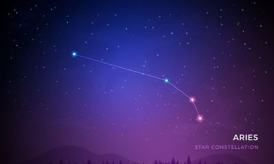 水瓶座女和白羊男(白羊男和水瓶座女在一起合适吗)