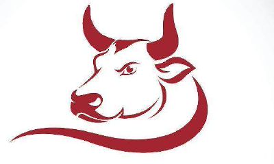 怎么和金牛座男生表白(金牛座男生会主动表白吗)