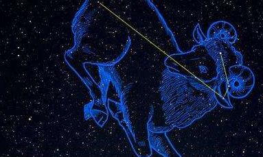 天秤座守护花(12星座代表的小花仙)