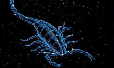 1983年天蝎座女如何进行助运(属猪的双子座女生婚姻)