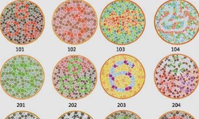 色盲测试25(天蝎座很难有闺蜜吗)