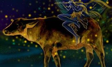 处座男眼中的金牛女(金牛女最佳配对星座)