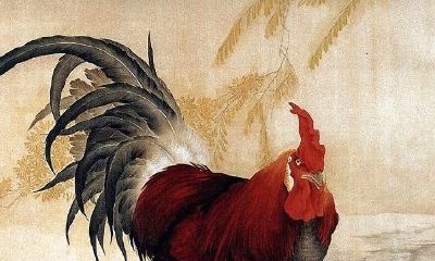 大运沐浴桃花(沐浴大运特点)