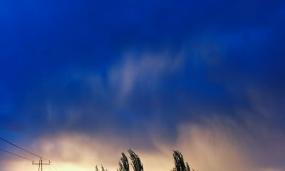 83年男猪2023年运势(83年属猪男2023年运势及运程每月)