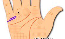 姻缘线只有小拇指一半(手相婚姻线侧面为什么有很多)