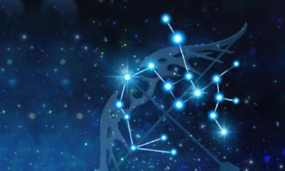 11月农历是什么星座的(阴历11月16日是什么星座)