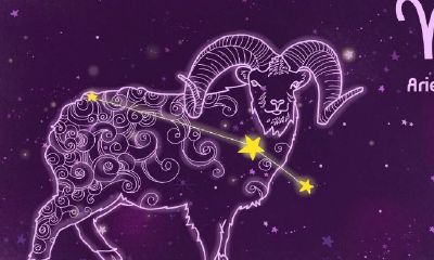 属虎白羊座男对待感情(属虎和属鼠的合不合)