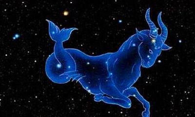 摩羯座和什么最相配(摩羯和哪个星座比较配)