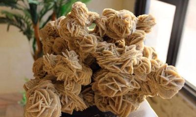 石来运转石头放在家哪里旺财(辟邪最厉害的石头)