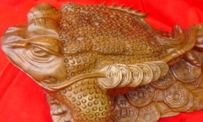 属虎的人能戴金蟾(属虎的人家中适合摆什么)