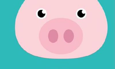 八三年属猪女最佳婚配(83年属猪女人一生的婚姻)