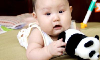 属牛的取名字可以加木字吗(属马起名忌讳的50个字)