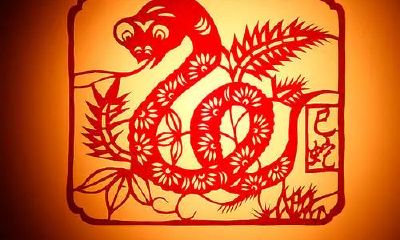 十二生肖什么属相最不能打(十二生肖哪个属相最不好)