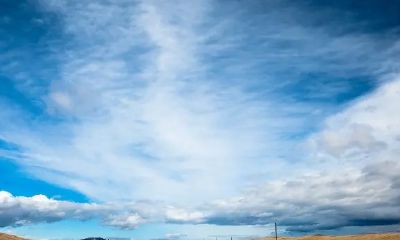 虎年出生男孩取名注意讲究(虎年取名带有山字木字男孩)