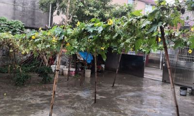 买房不信风水可以吗(风水大师说的房子不好的话能信吗)