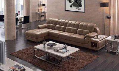 办公室旺财位放什么(办公室财位的位置以及旺财的方法)