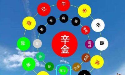 辛金七杀大运(八字中辛金日主七杀为用)