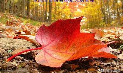 所有的缘分都是注定(每个人的缘分都是注定的吗)