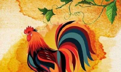 五十多岁属鸡的是几几年出生的(五十多岁属鸡是哪年出生)