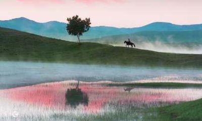 属牛一生运势如何(2023属牛要小心一个人)