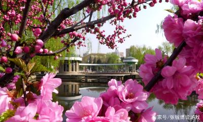 狮子座最喜欢哪个季节(狮子座哪个季节可以看到)