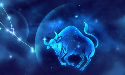 金牛座努力吗(金牛座一辈子是什么命)