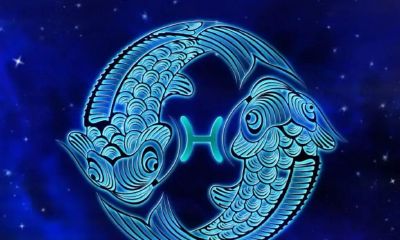 水瓶座最放不下的是什么星座(水瓶座爱而不得的星座)