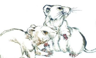 1984年的属相是属什么的(84年属鼠2023牢狱之灾)