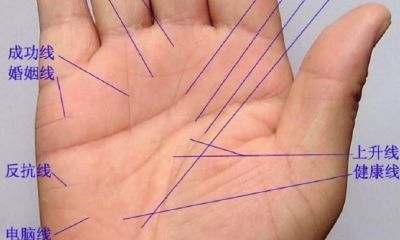 手相中的智慧线在哪里(手相感情线图解)