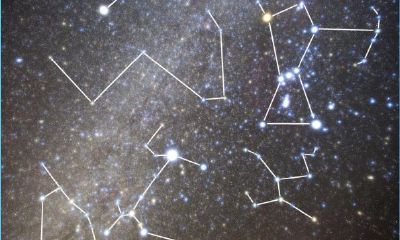 水瓶座和哪个星座合财(水瓶座和双鱼座和马)