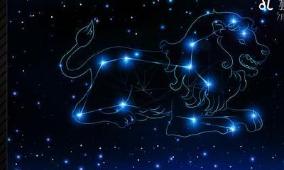 狮子座的热恋期有多长(双子座的热恋期一般多久)