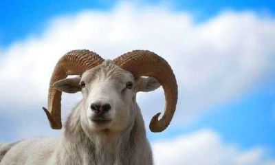 白羊座男的脾气很大吗(白羊男对你脾气越来越差)