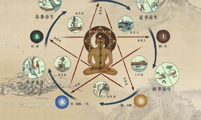 根据五行相克规律脾之子是(五行中脾对应的是什么)