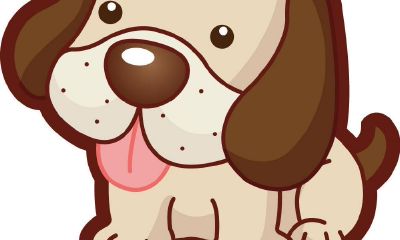 1993年属鸡2023年有孩子吗(93年属鸡最佳方位)