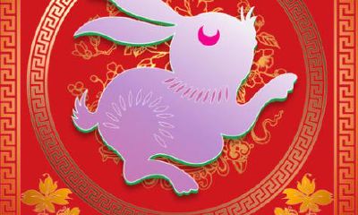 属兔的明年穿什么颜色衣服(属兔今年穿啥颜色衣服吉祥)