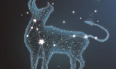 金牛座天敌是什么星座(金牛座的仇人是什么星座)