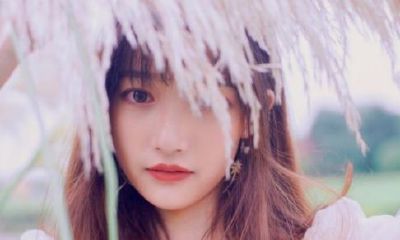 十二星座中哪个星座最可怜(哪个星座最笨)