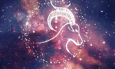 金牛座星座运势今天(属羊金牛座今日运势查询)