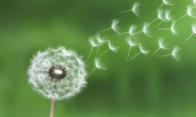 看手相分男女(女生看手相看哪只手)